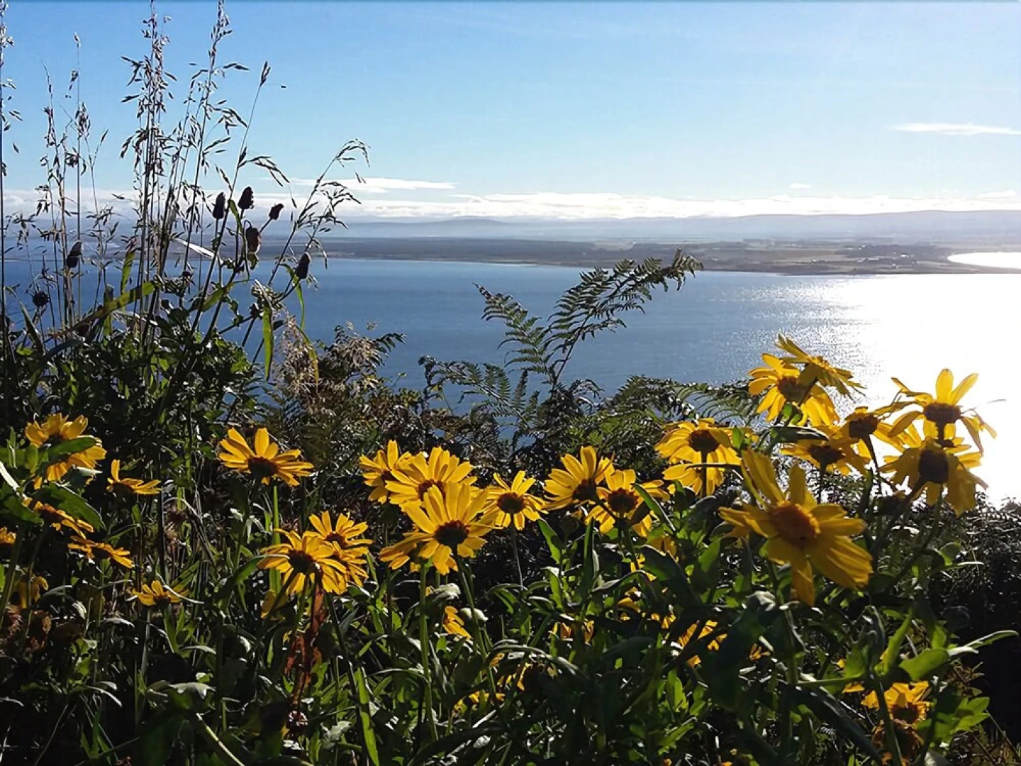 Aspen Yurt - Campsite