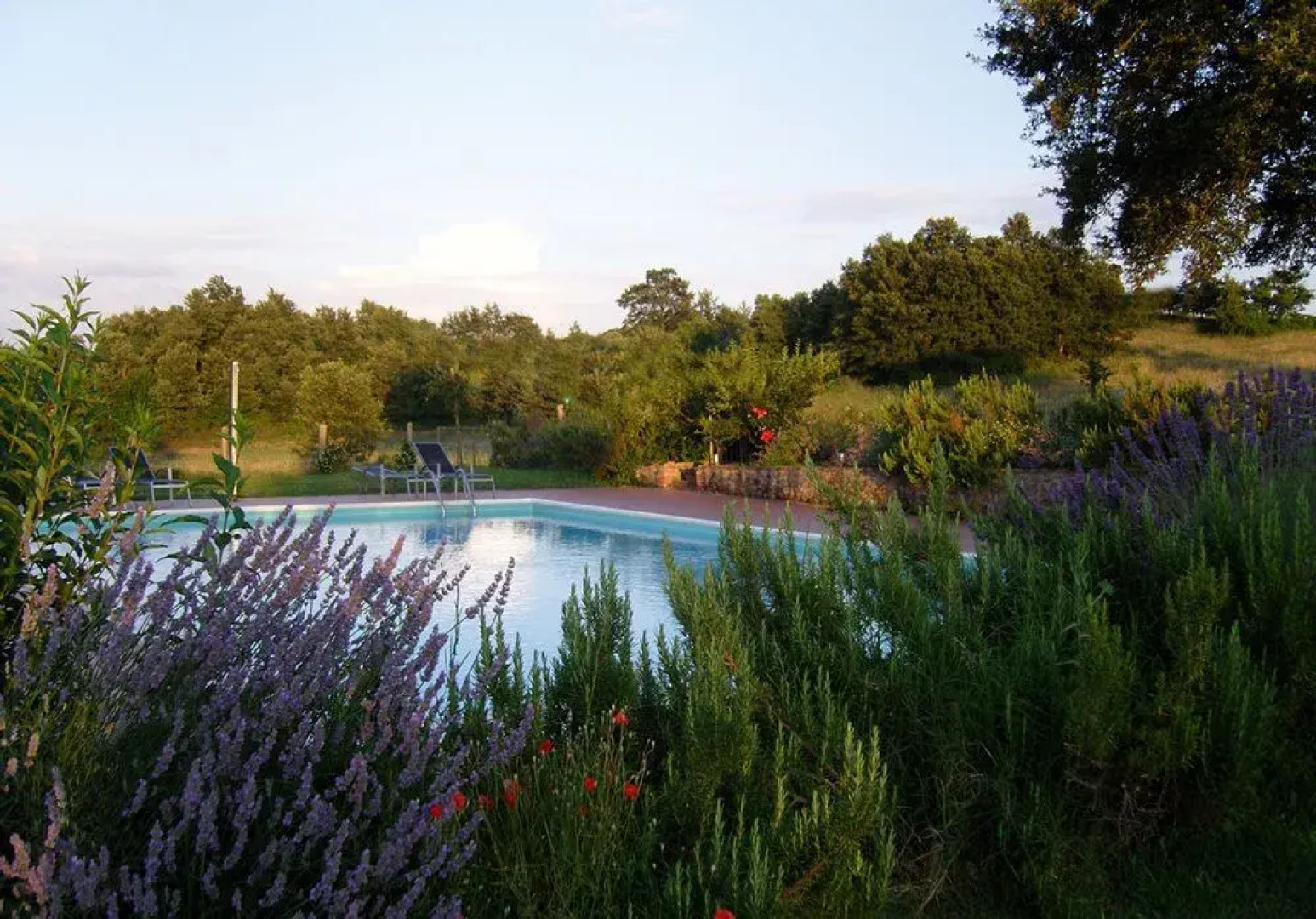 Borgo di campagna Il Tesoro