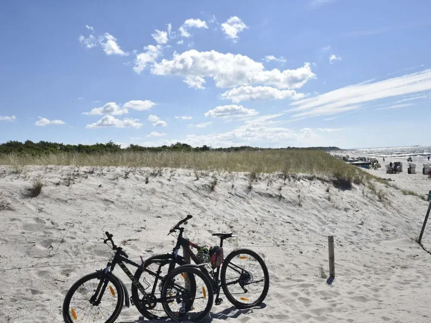 Beautiful Apartment near Forest in Ahrenshagen