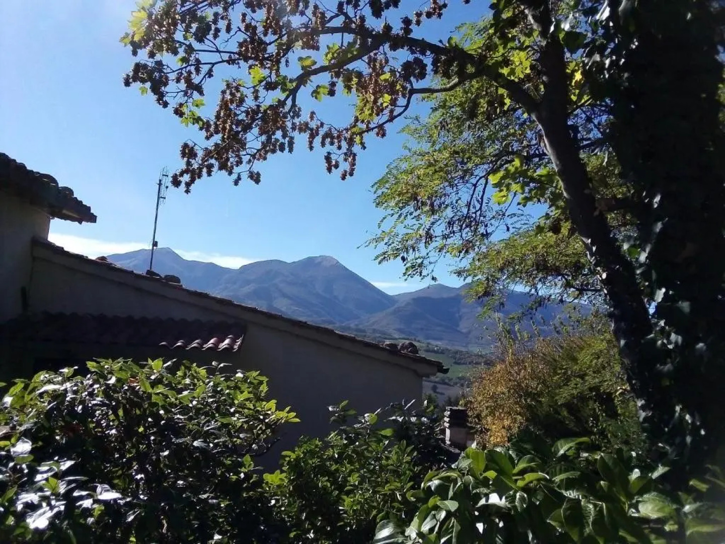 B&B La casa nel bosco