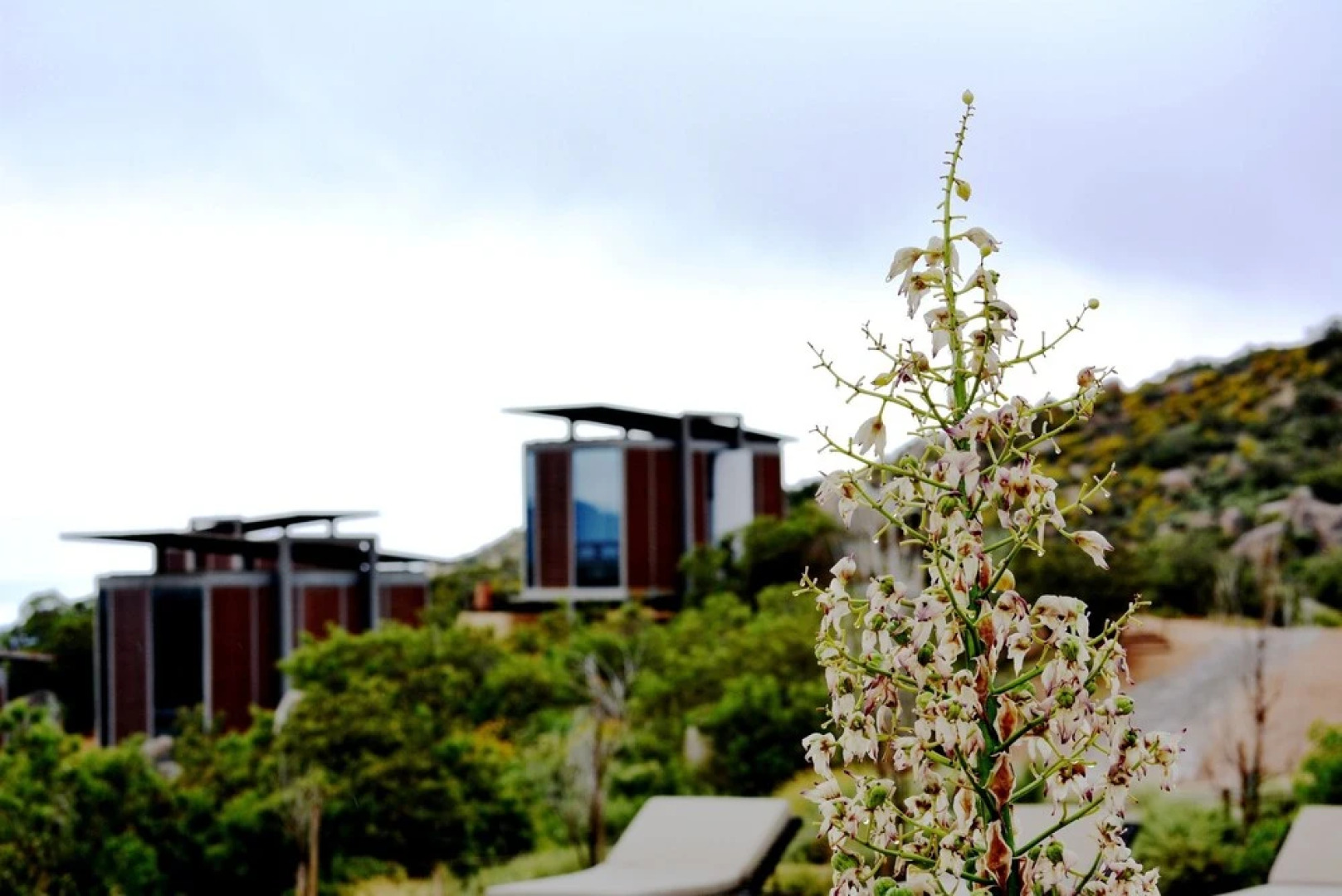 Encuentro Guadalupe, formerly known as Hotel Endemico