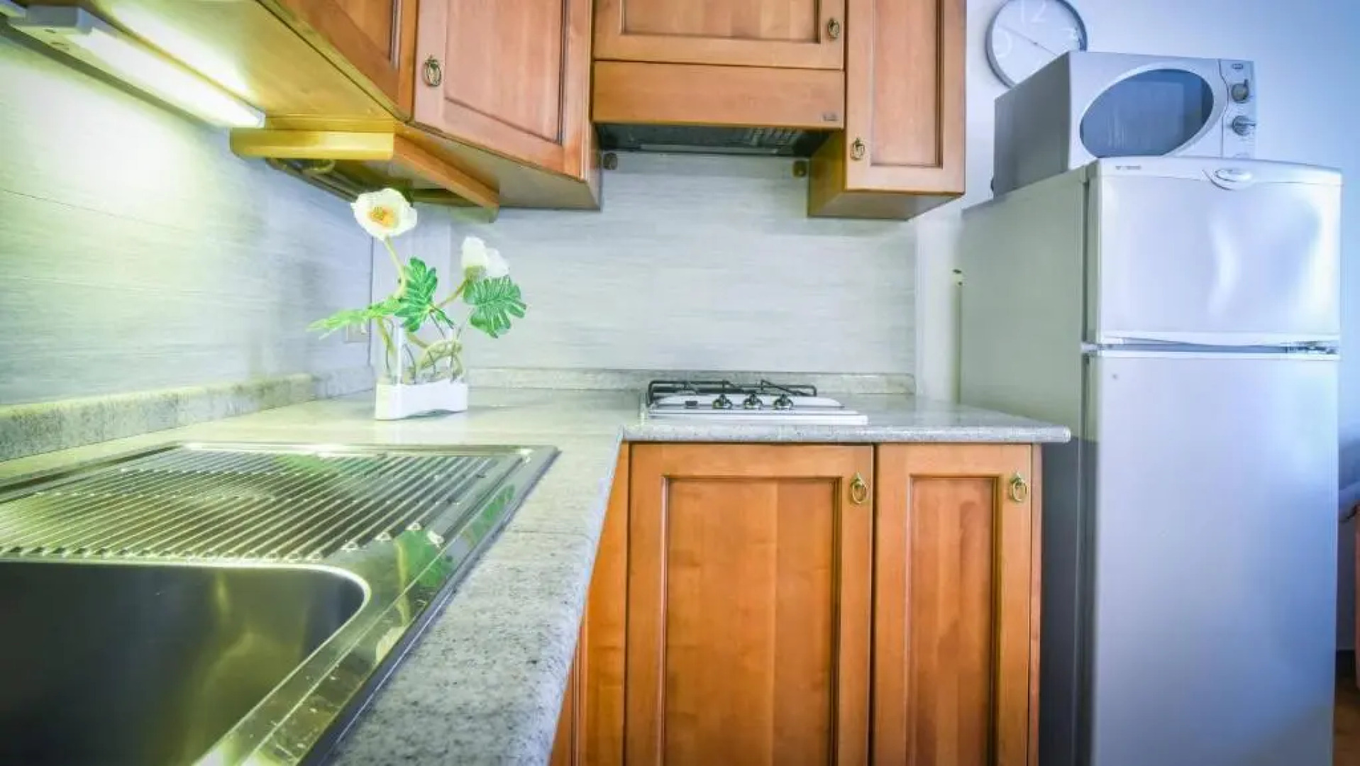 Ferienwohnung Gardasee Lazise