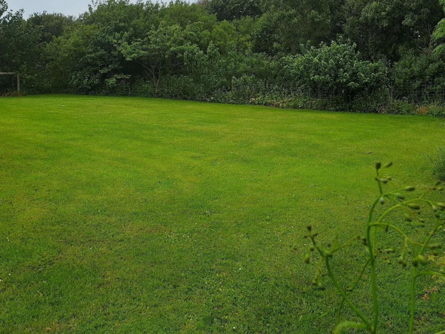 16 Person Holiday Home in Vestervig