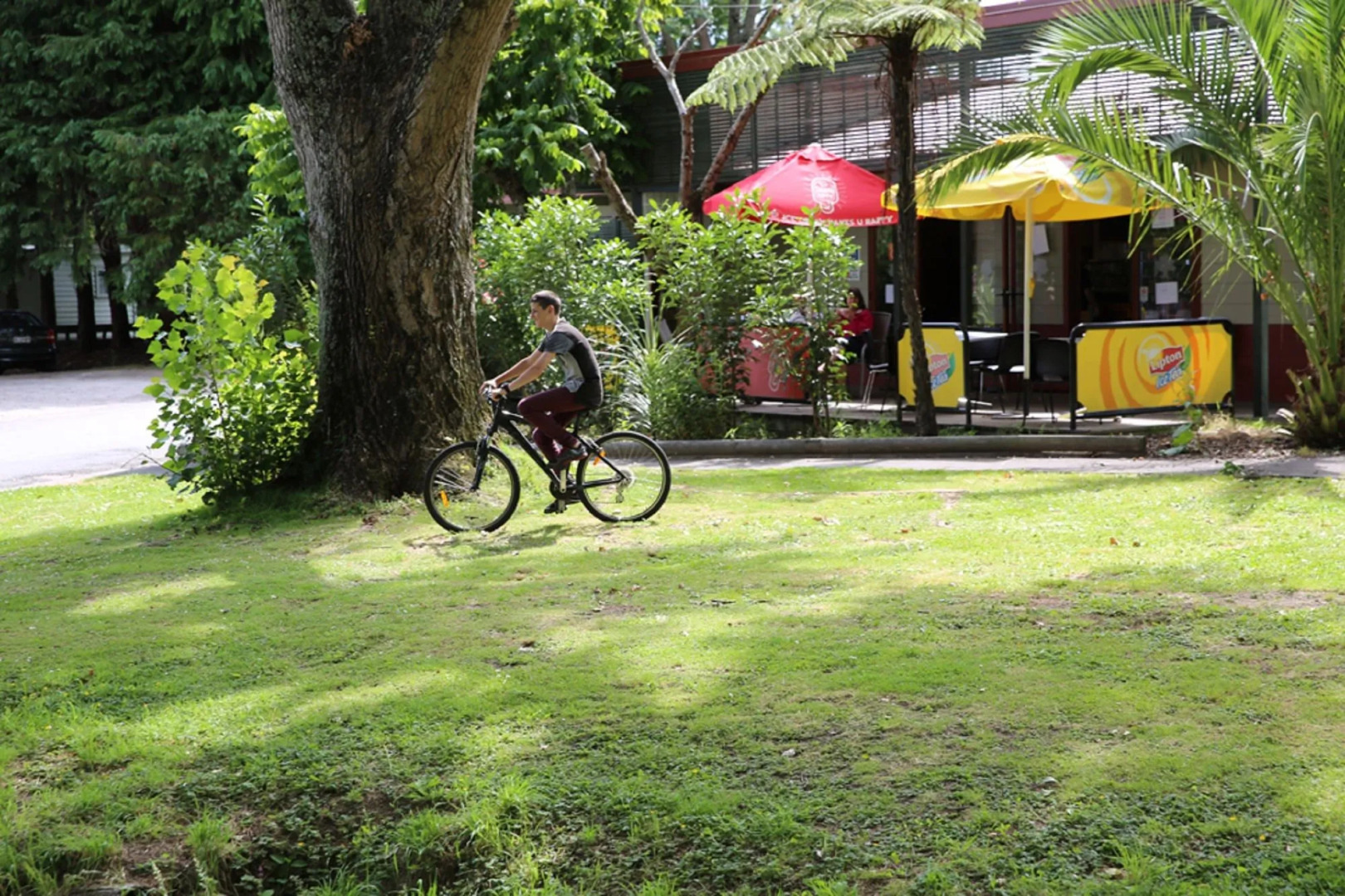 Rotorua Thermal Holiday Park