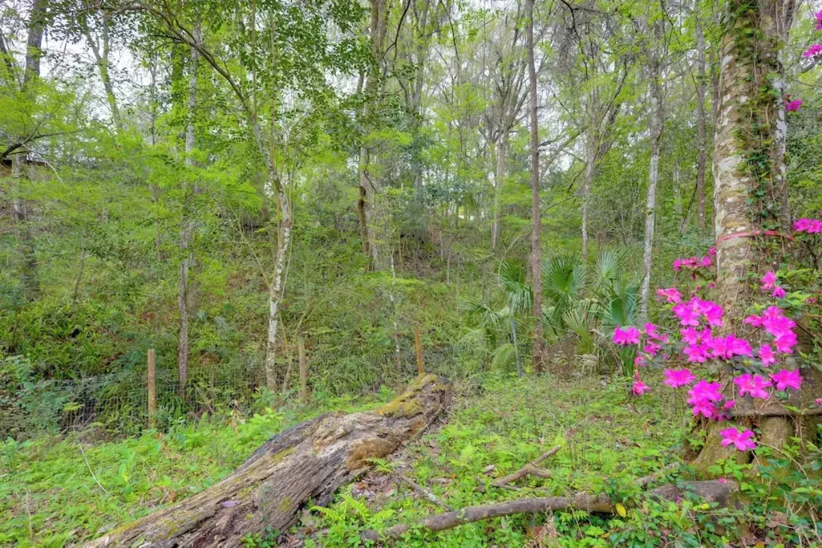 Vacation Home Rental in Gainesville, Florida!
