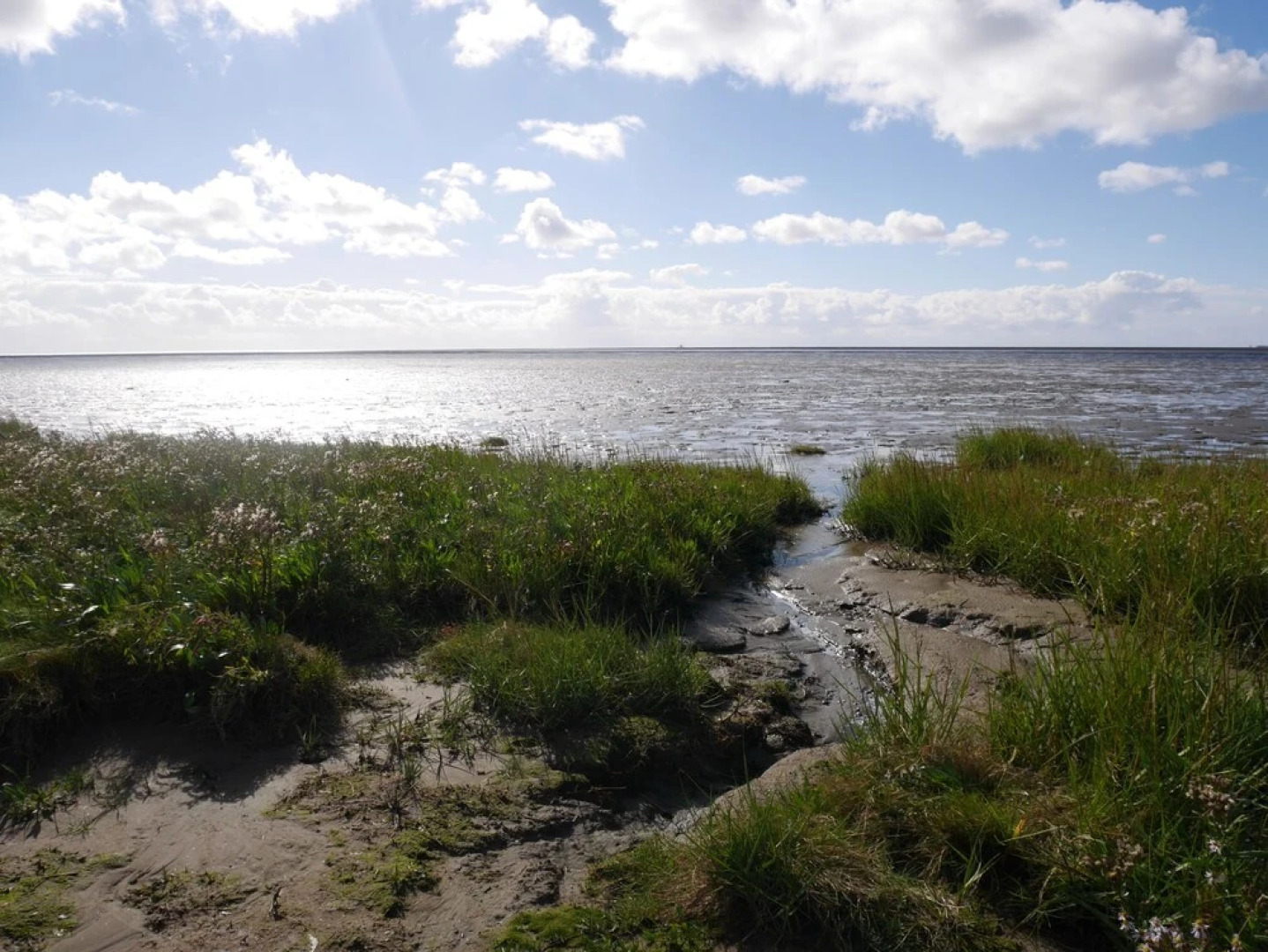 Ferienwohnung Vogelsang