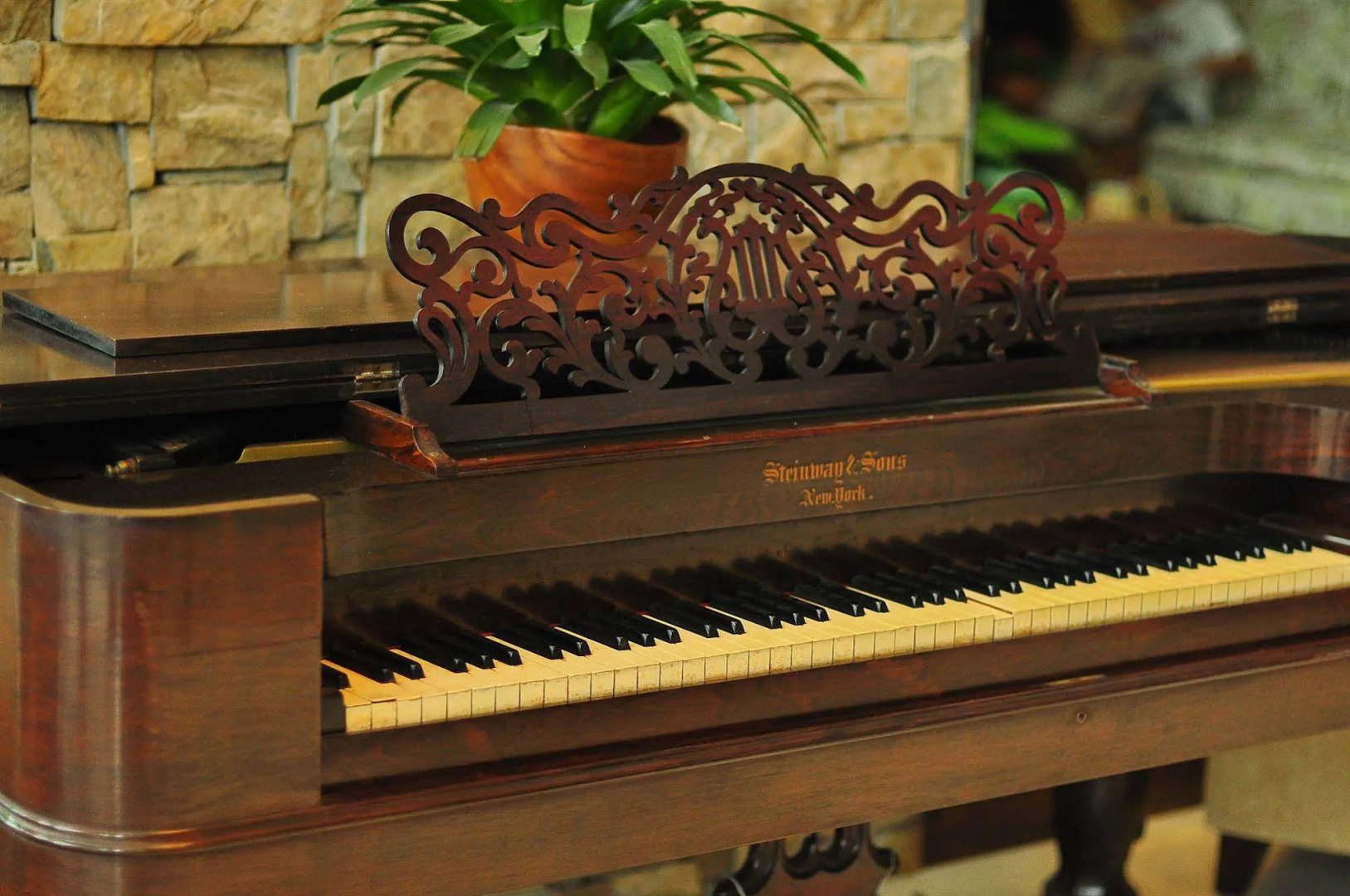 The Cocoon Boutique Hotel