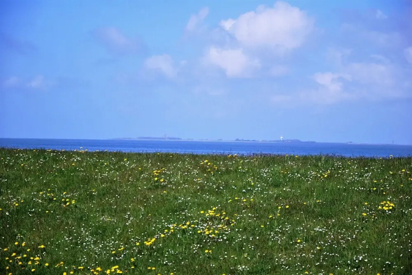 Nige Wark  Peters Ferienappartements