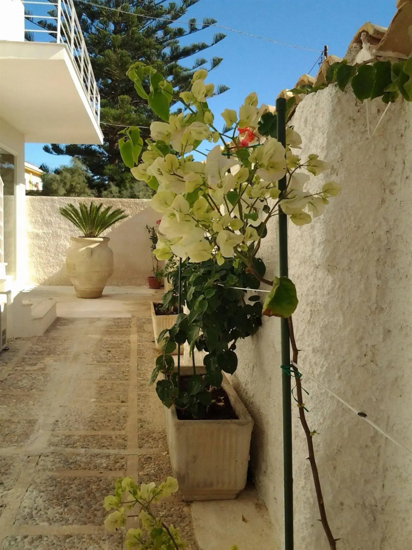 SUITEBEACH b&b and resort