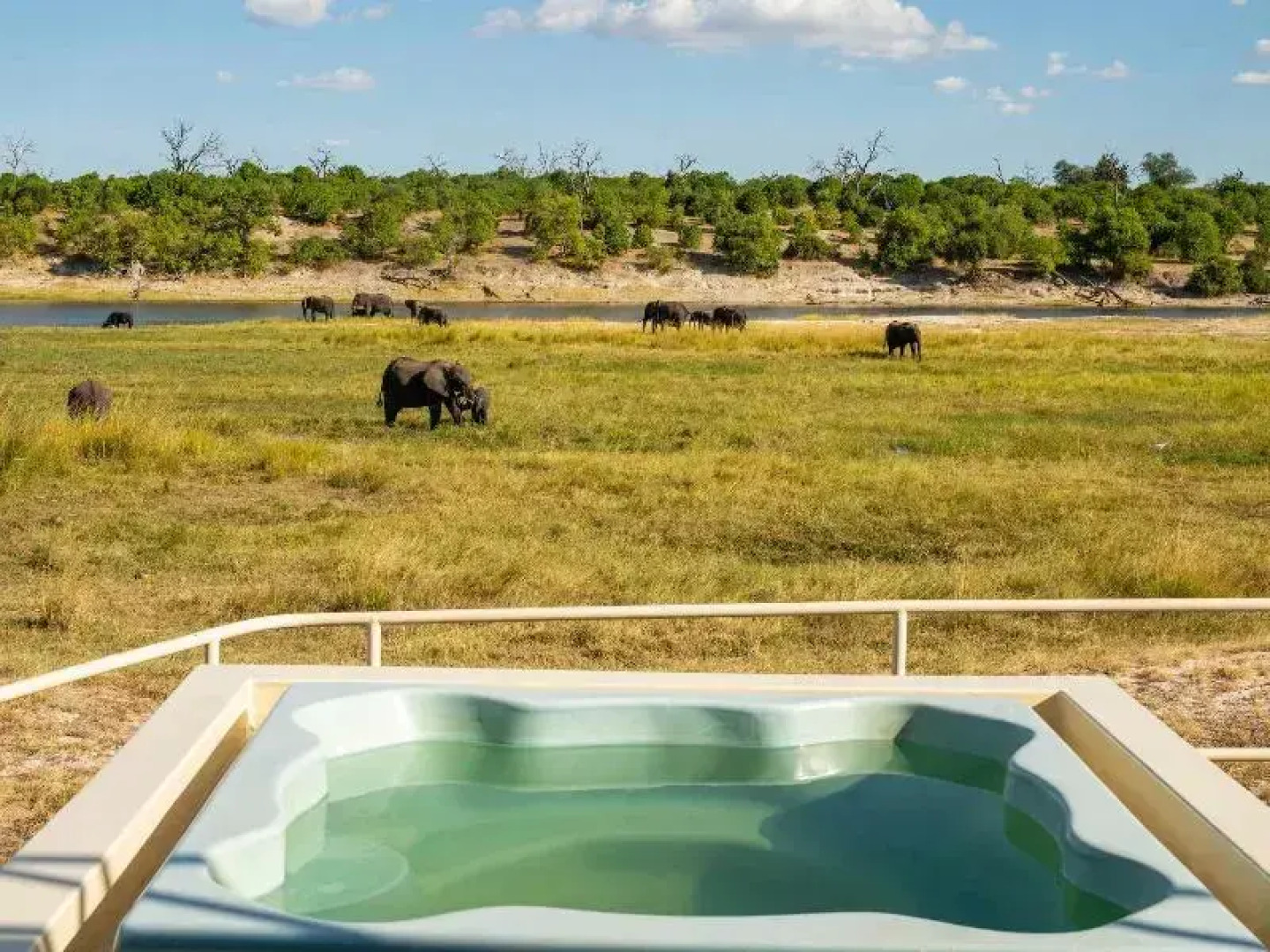 Chobe Princesses by Mantis