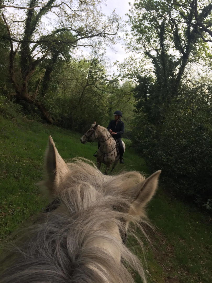 Les Ecuries de Bel Air