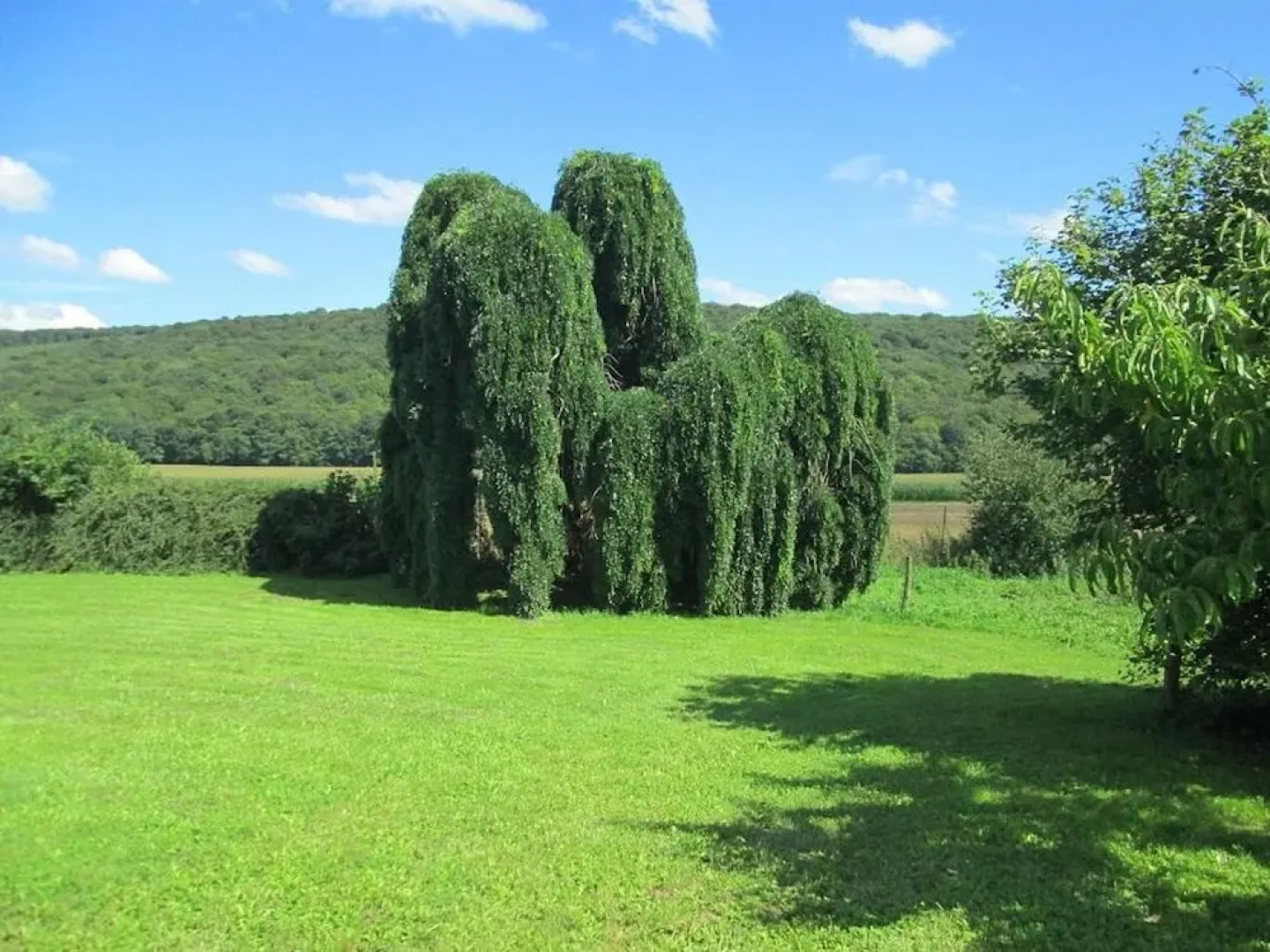 Apartment With one Bedroom and spa in Gézier-et-fontenelay, With Wonde