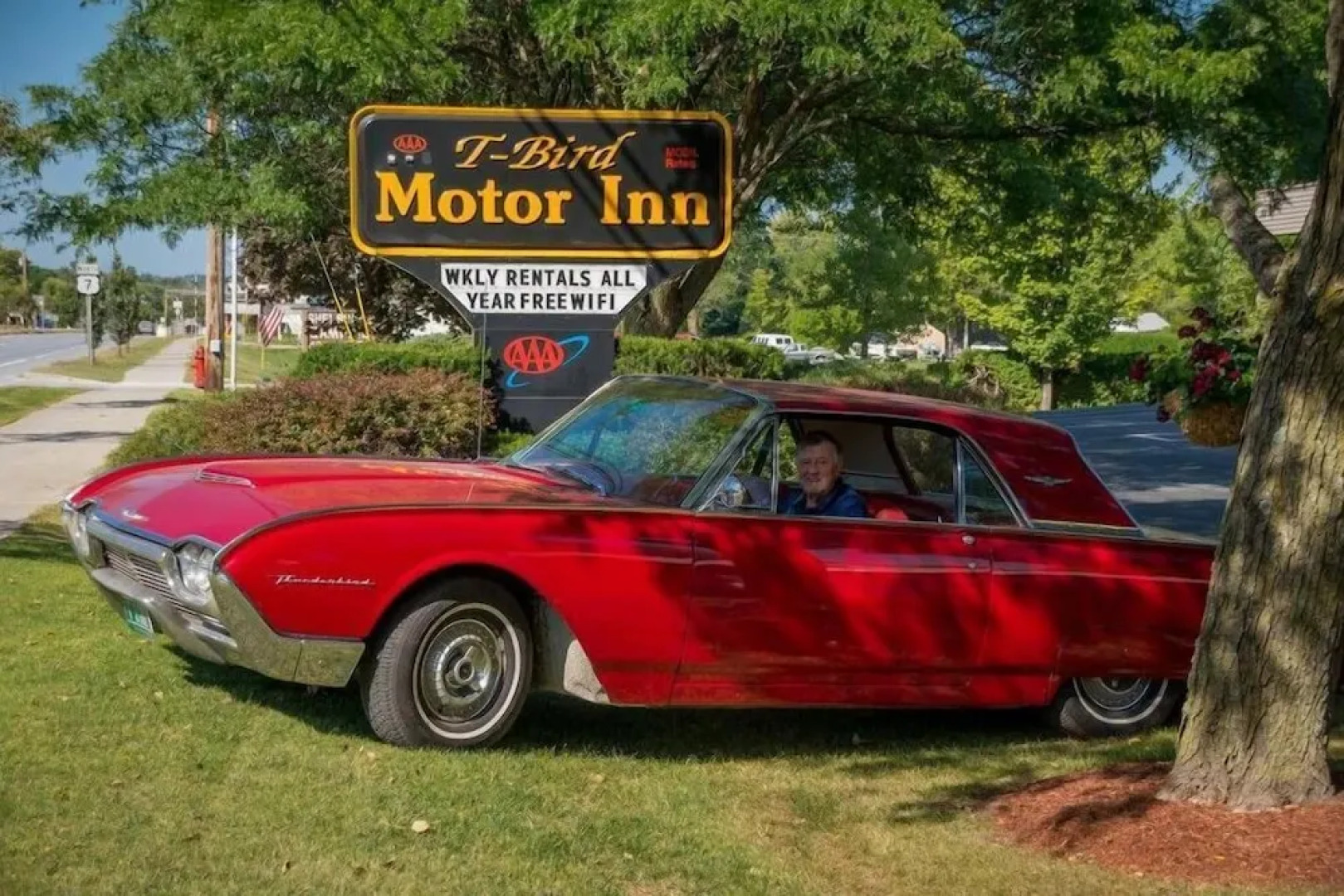 T-Bird Motor Inn