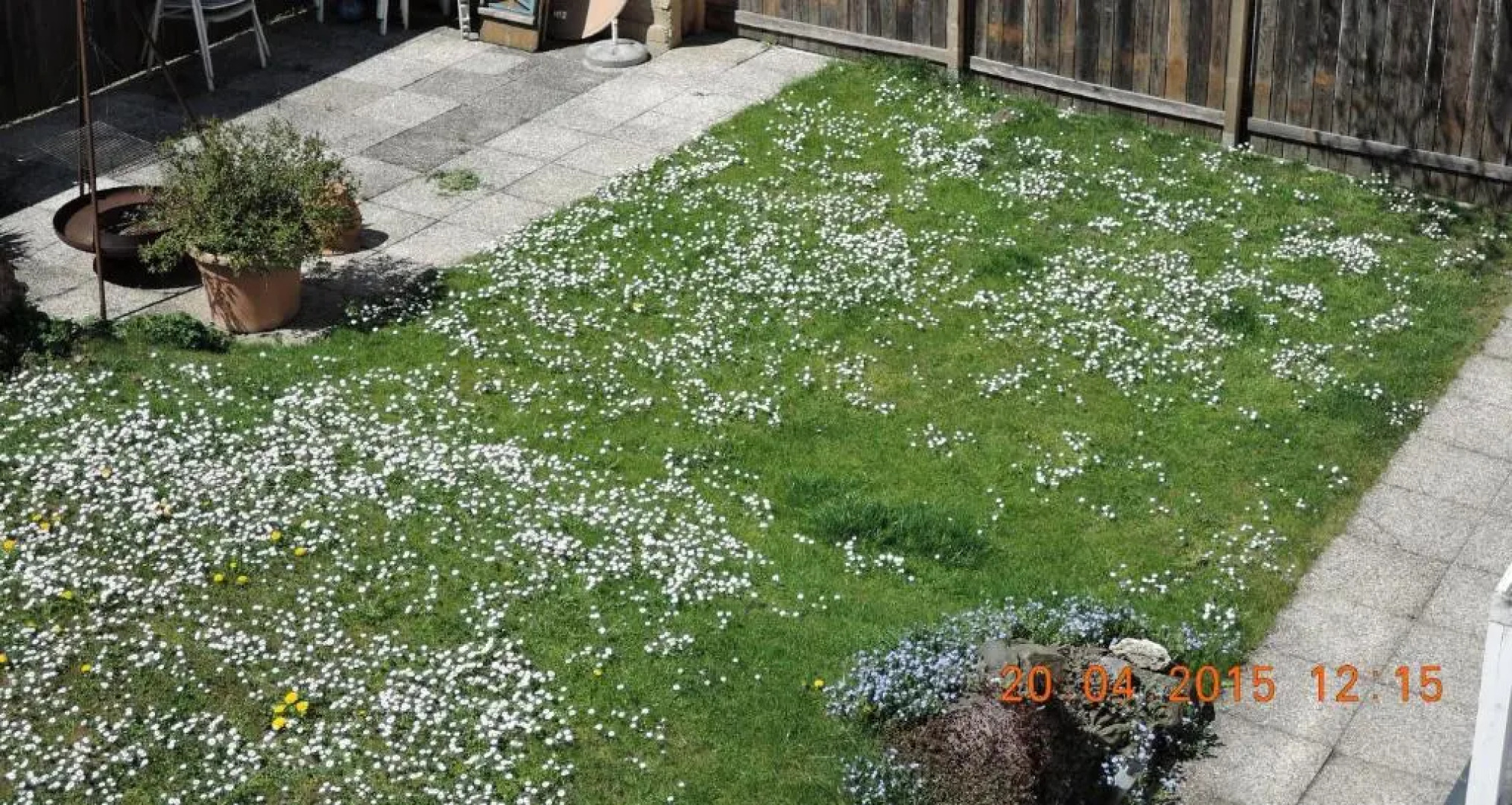 Stadtnahe Landwohnung