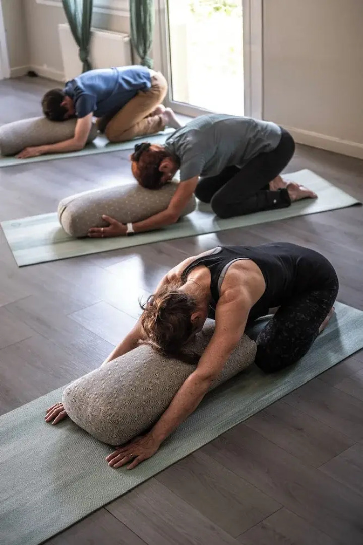 Maison Tournesol Pau Jurançon Gan