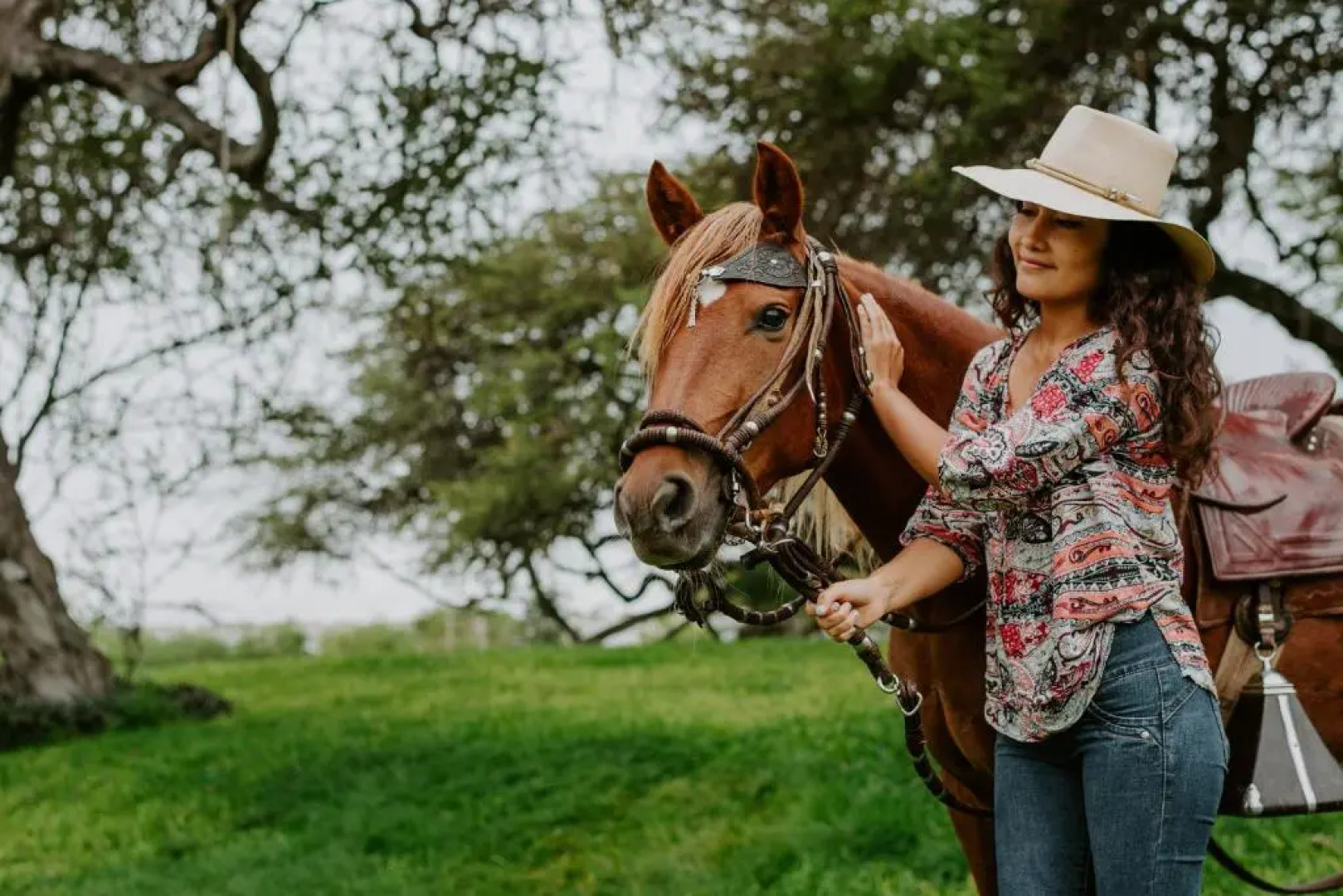 Monteverde Boutique Hotel