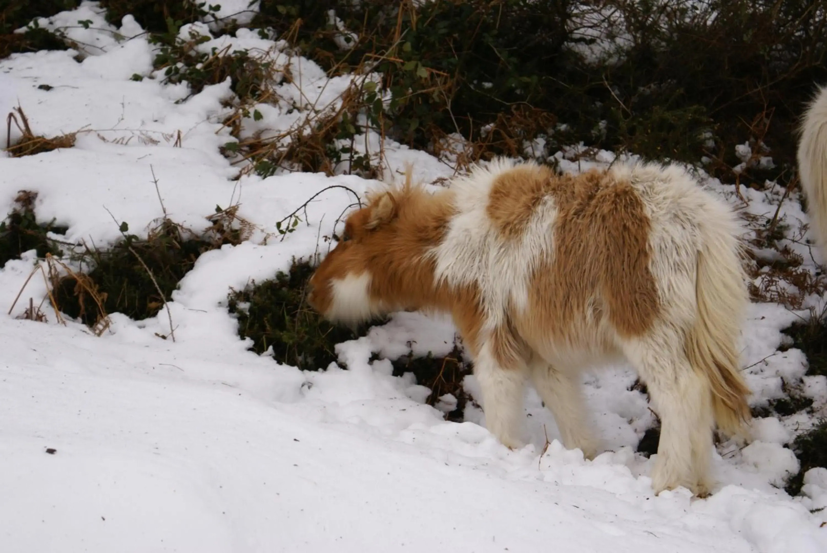 Duplex Usuaia con Jacuzzi