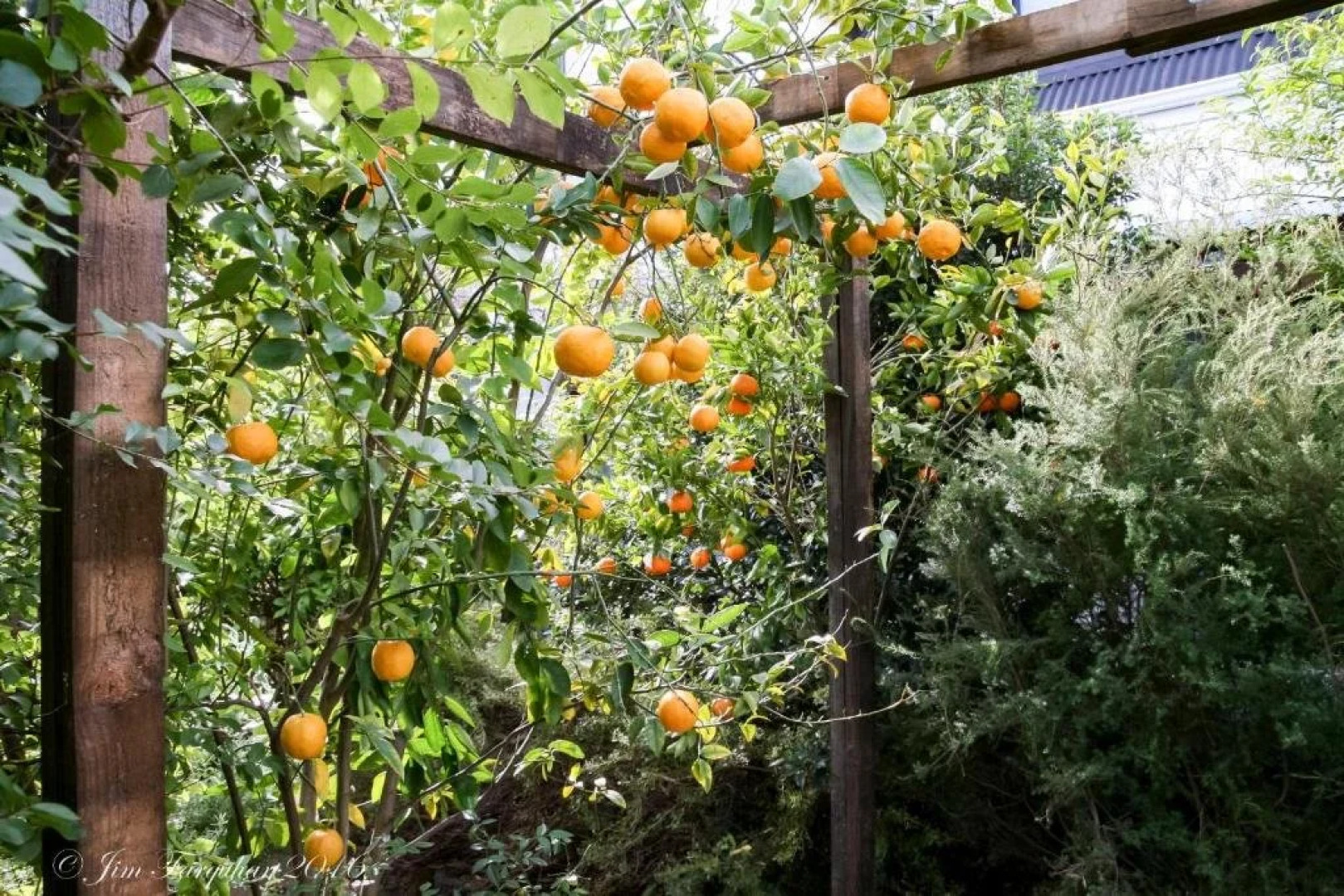 Aarn House B&B Airport Accommodation