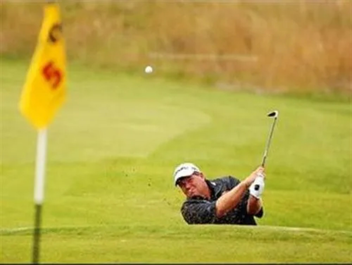 Whitworth Falls Hotel