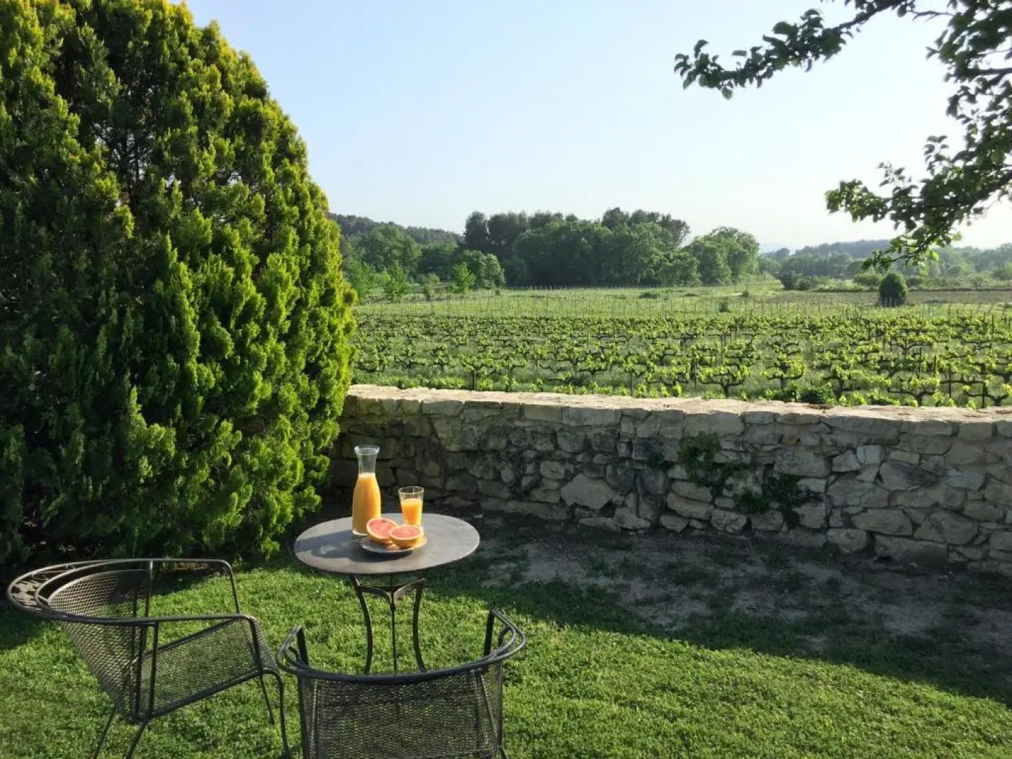 Mas Pichony - Maison d'Hôtes - B&B