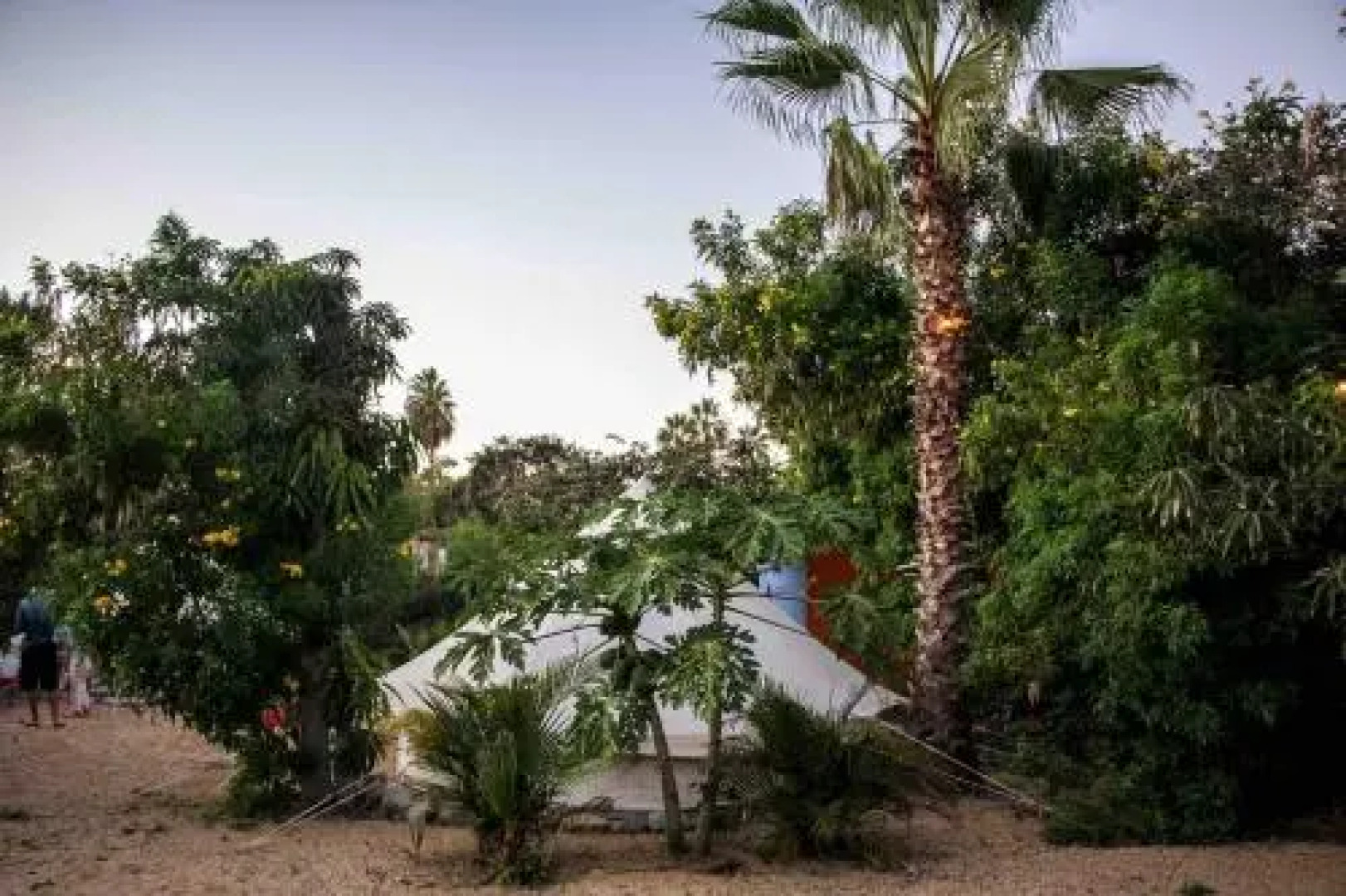 Todos Santos Hostel