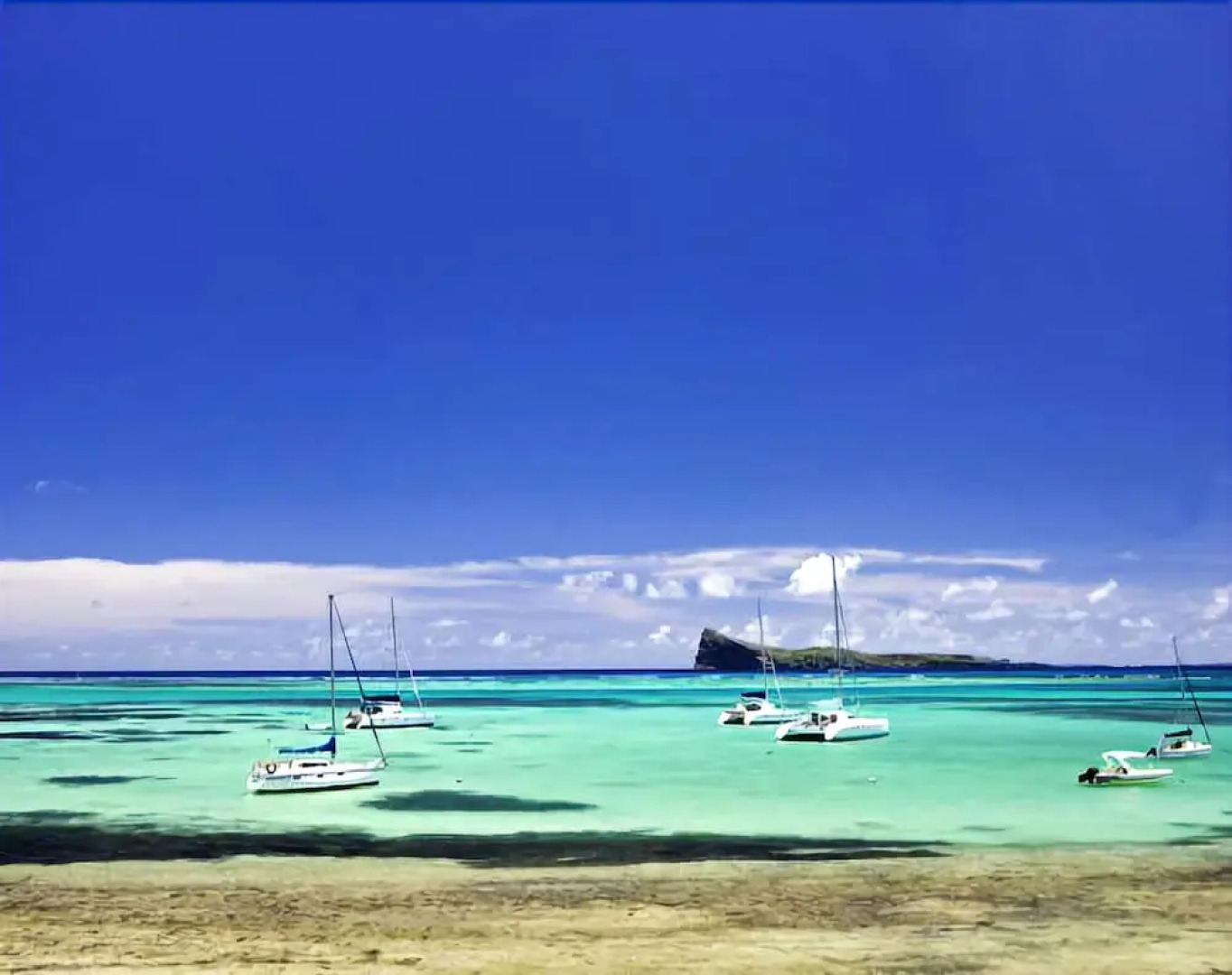 Cape Garden - Residence