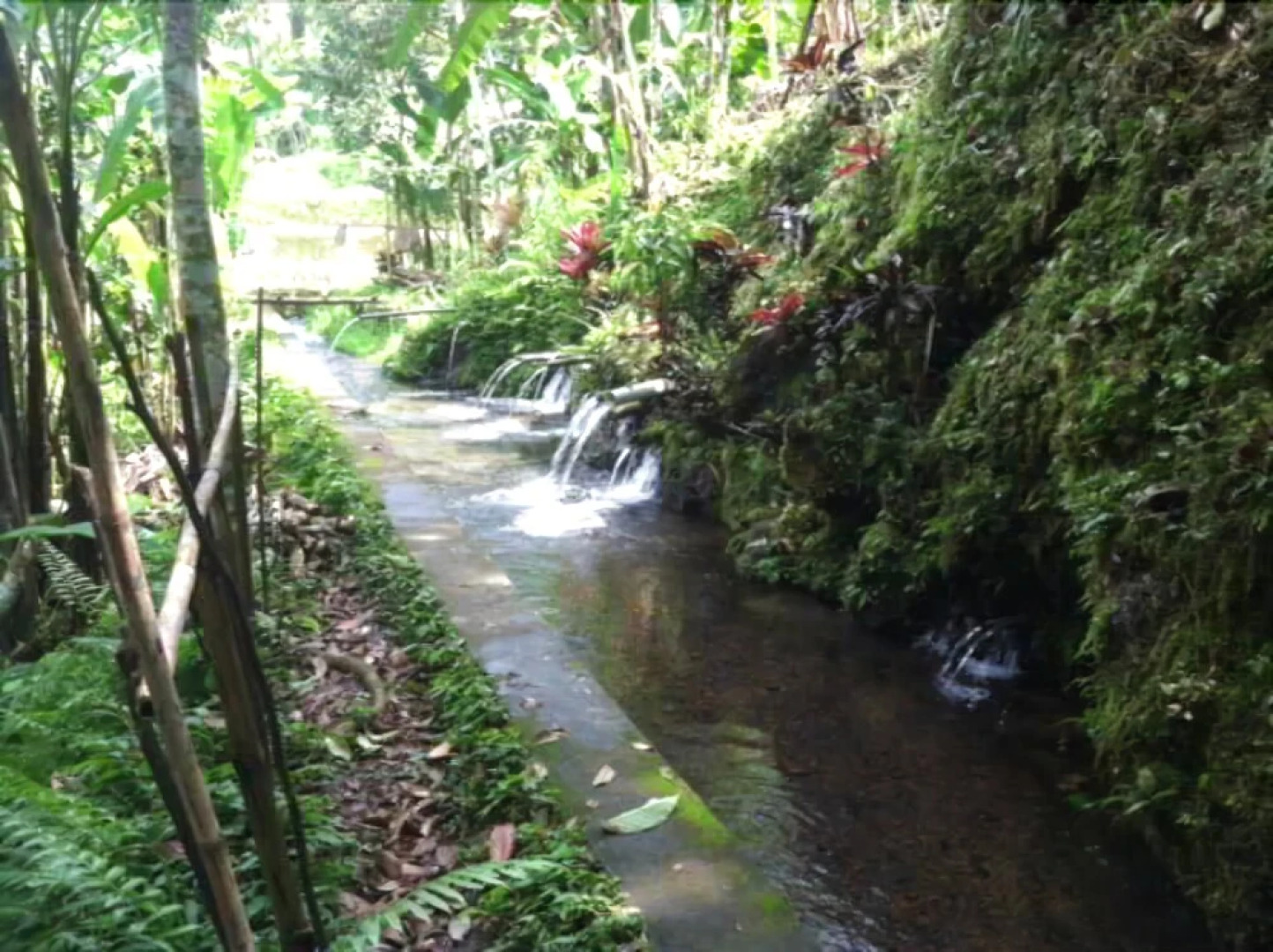 Soka Jatiluwih Villas
