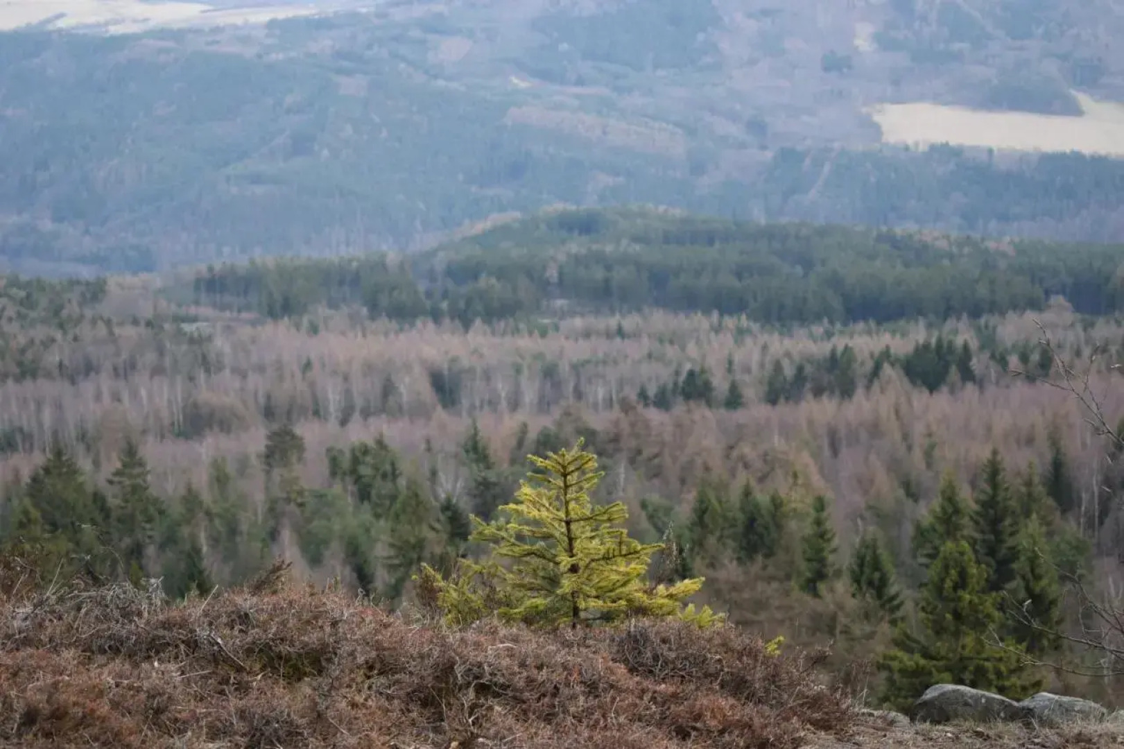 Guest House Pod Rozhlednou