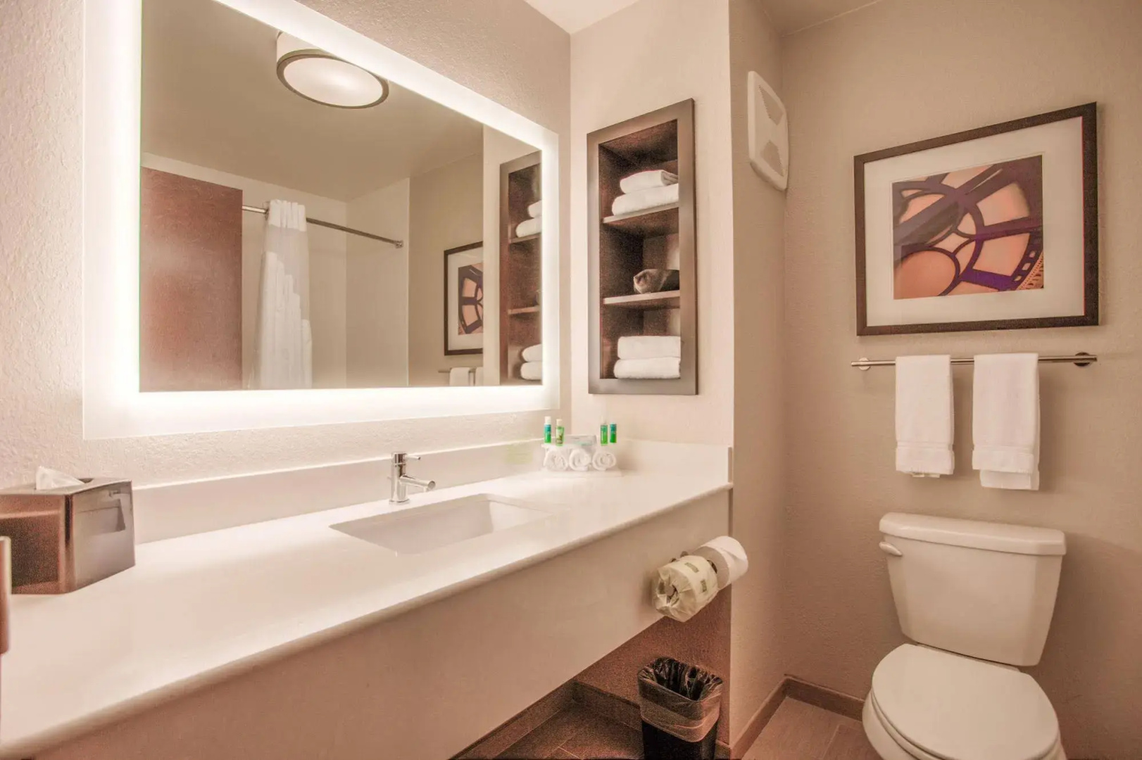 Holiday Inn Express & Suites Lancaster East - Strasburg by IHG