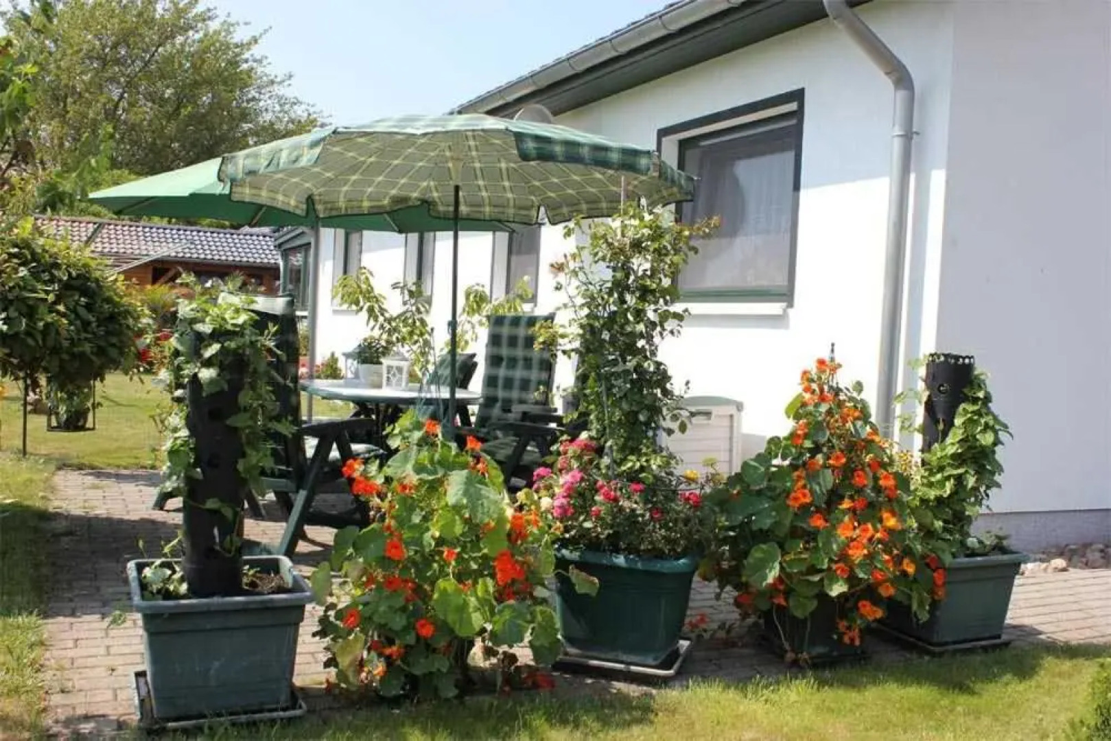 Ferienwohnung Loddin USE 2801