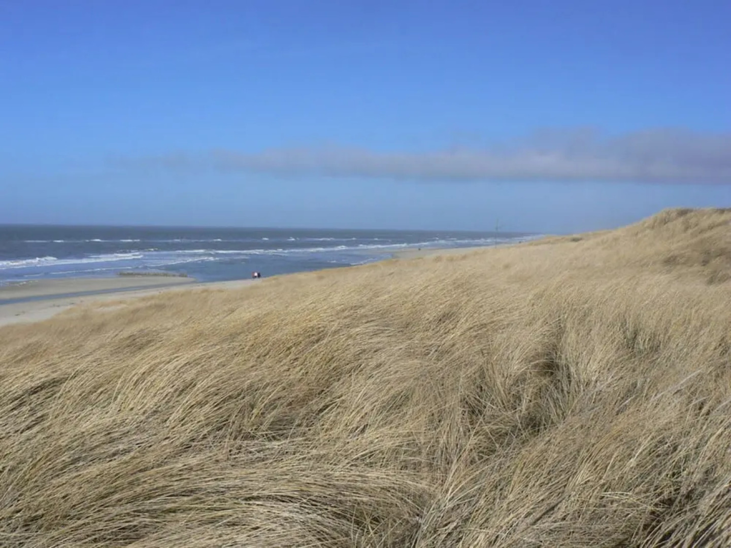 Long Comfortable Holiday Residence