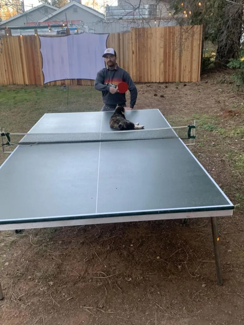 The Pines Inn and Cottages