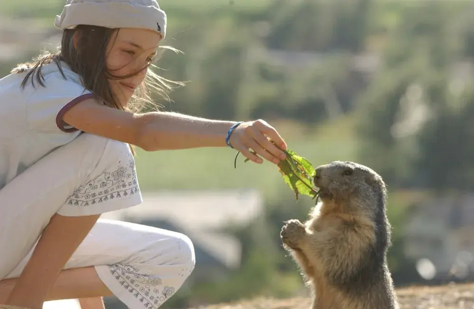 Résidence Soleilvacances Pra-loup 1600