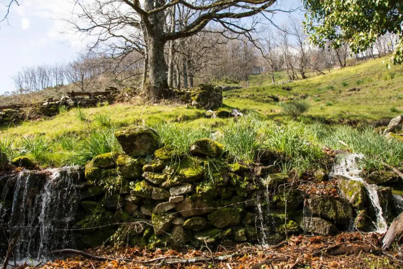 Casa Rural Fuente El Boticario
