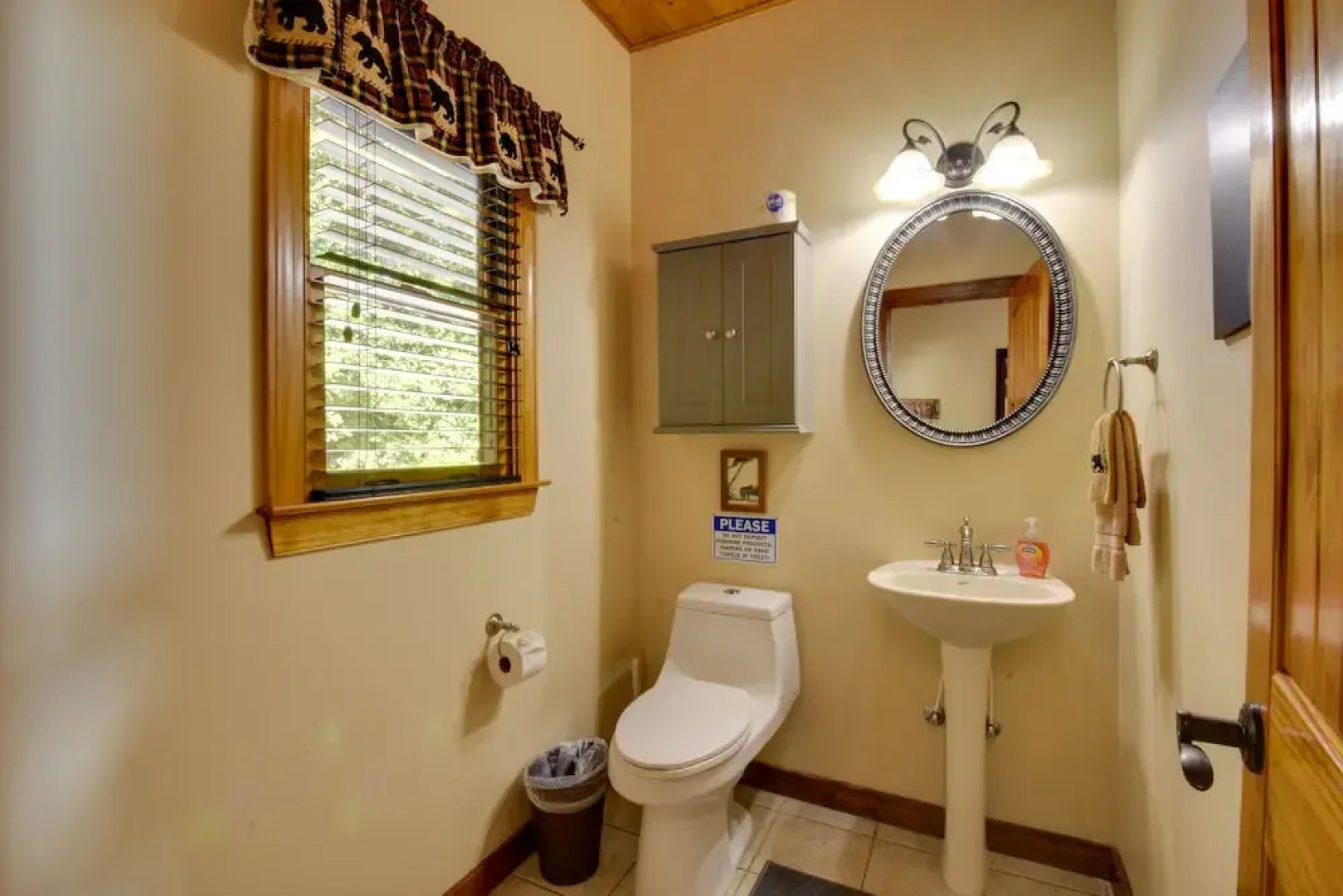 Hot Tub, Game Tables & Mtn Views: Ellijay Cabin