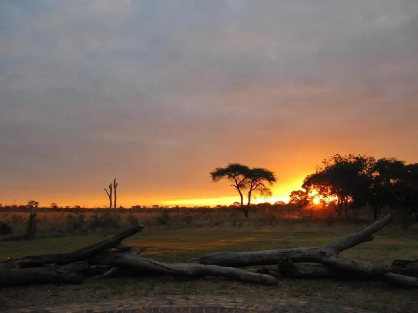 Elephant's Eye, Hwange
