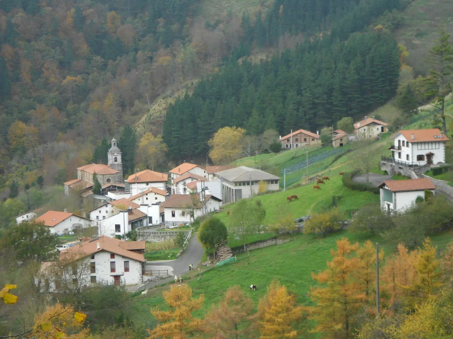 Albergue ambiental de Beizama - Hostel