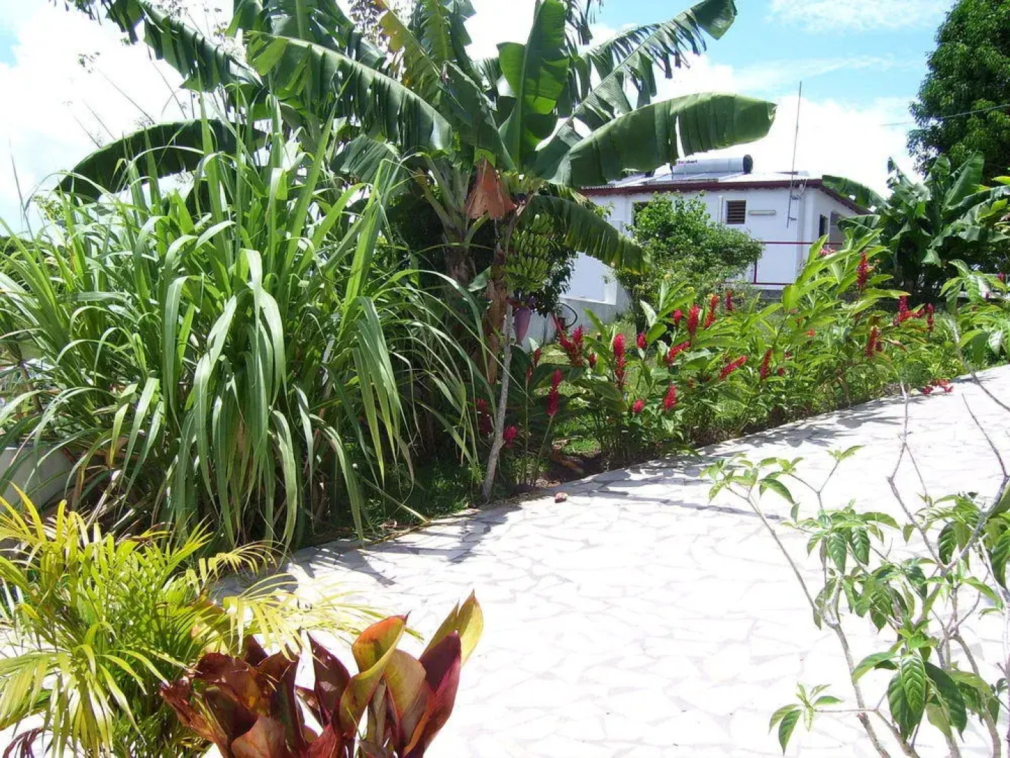 Les Terrasses de Boisvin