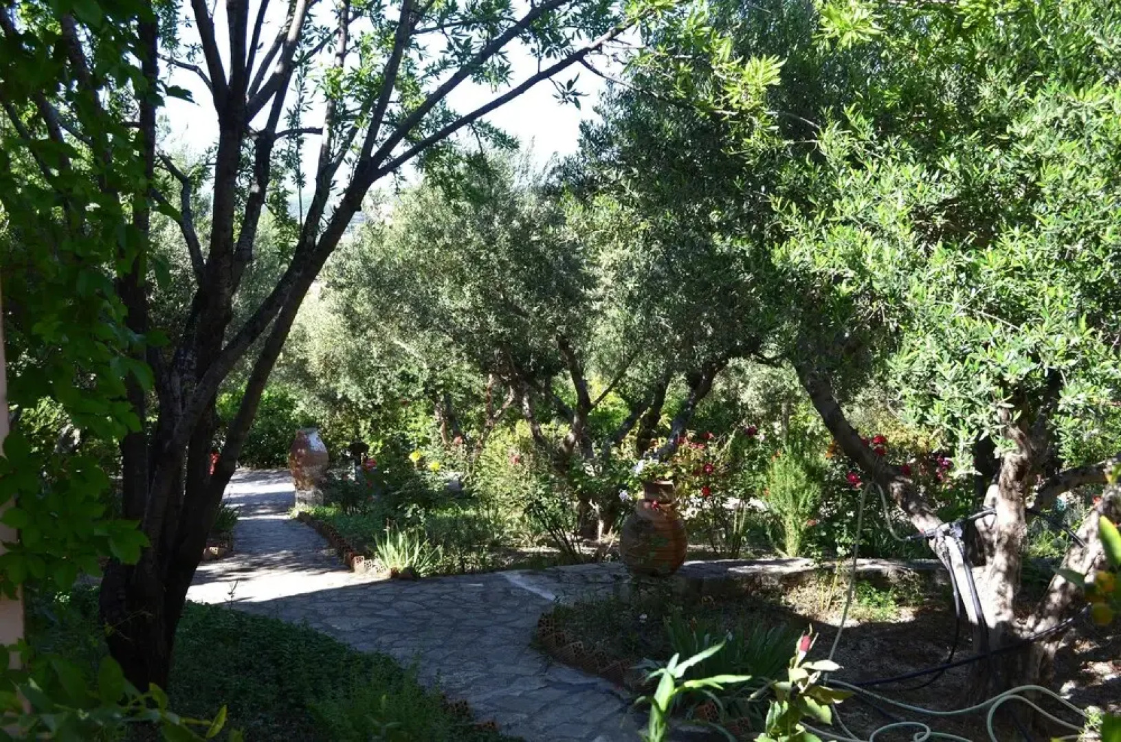 Viglatoras Traditionals Apartments