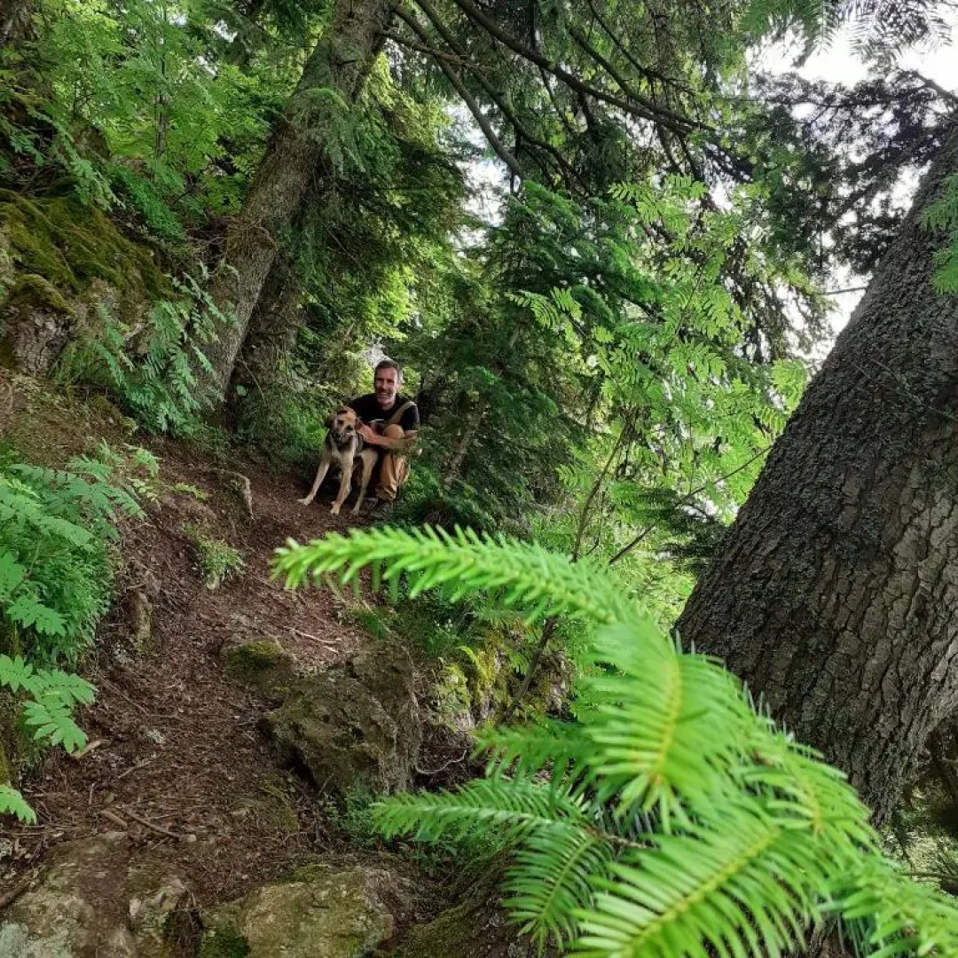 Room in Guest room - Sejour in green garden with lake view for 2 People