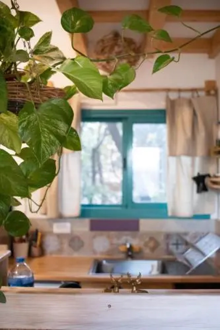 Blue House In The Woods- Amirim