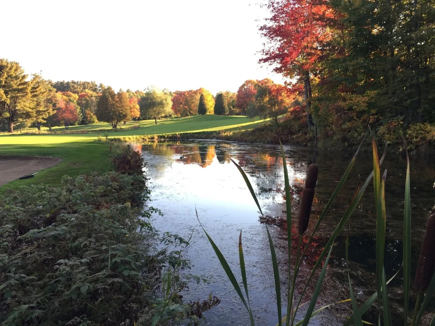 Kinipi spa nordique et hébergement