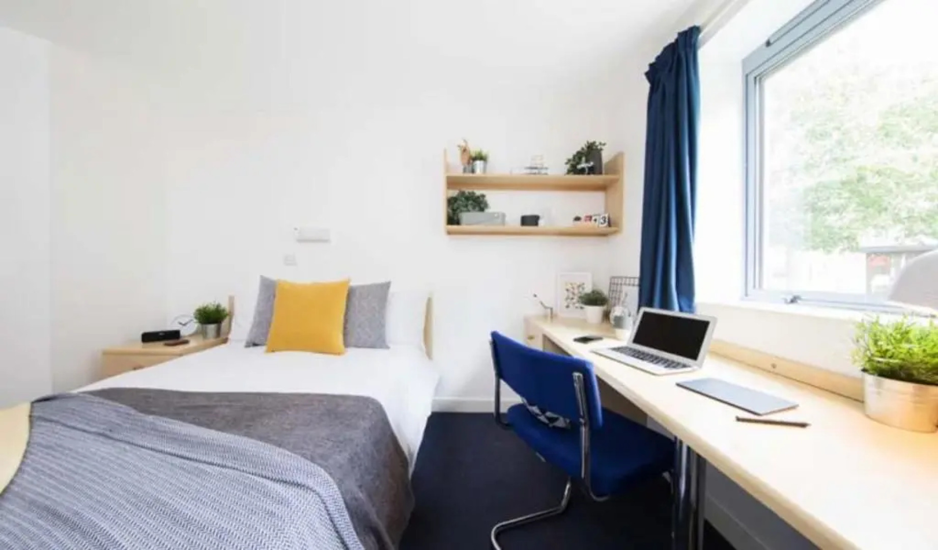 Bright Rooms for STUDENTS Only - Bedford, SK