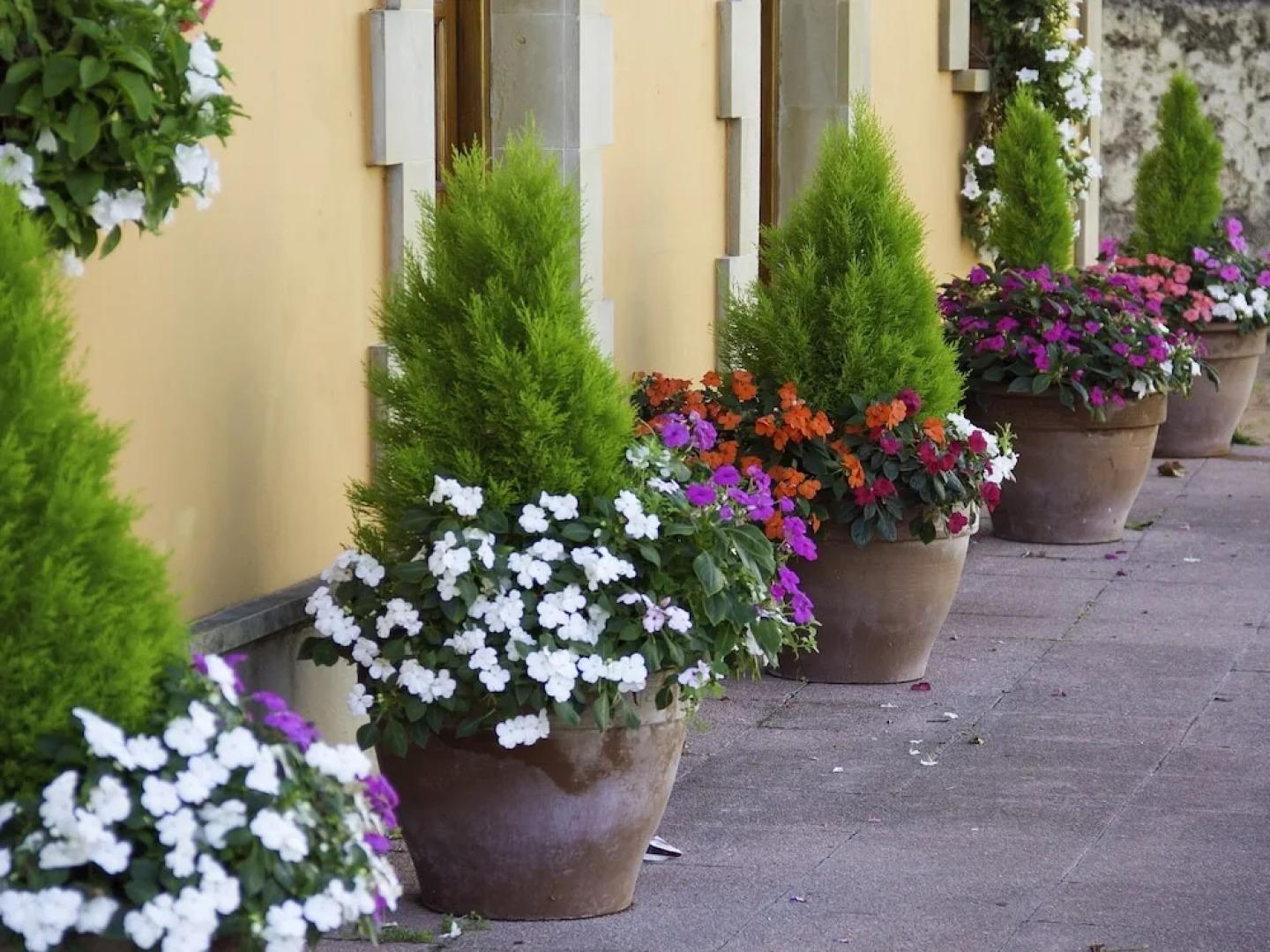 Posada La Rivera De Escalante