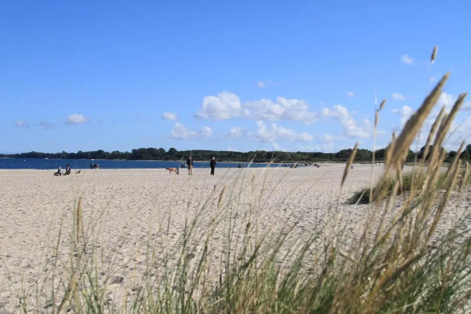 SlowDown Travemünde