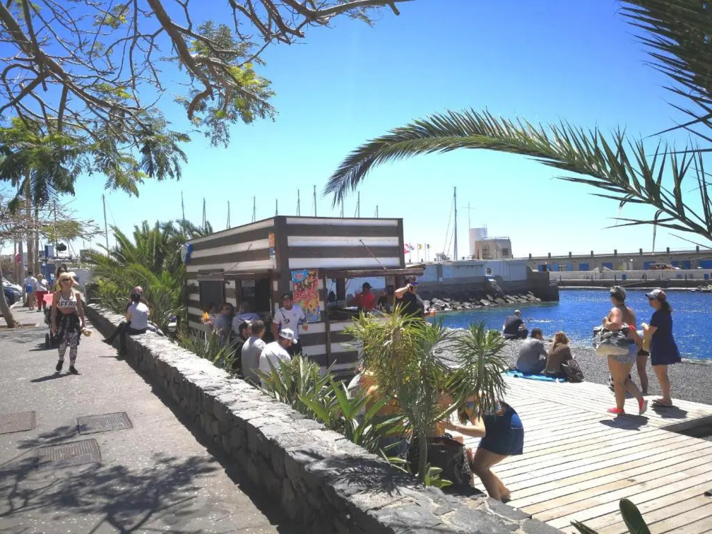 Tabaiba Alta 180 degrees views