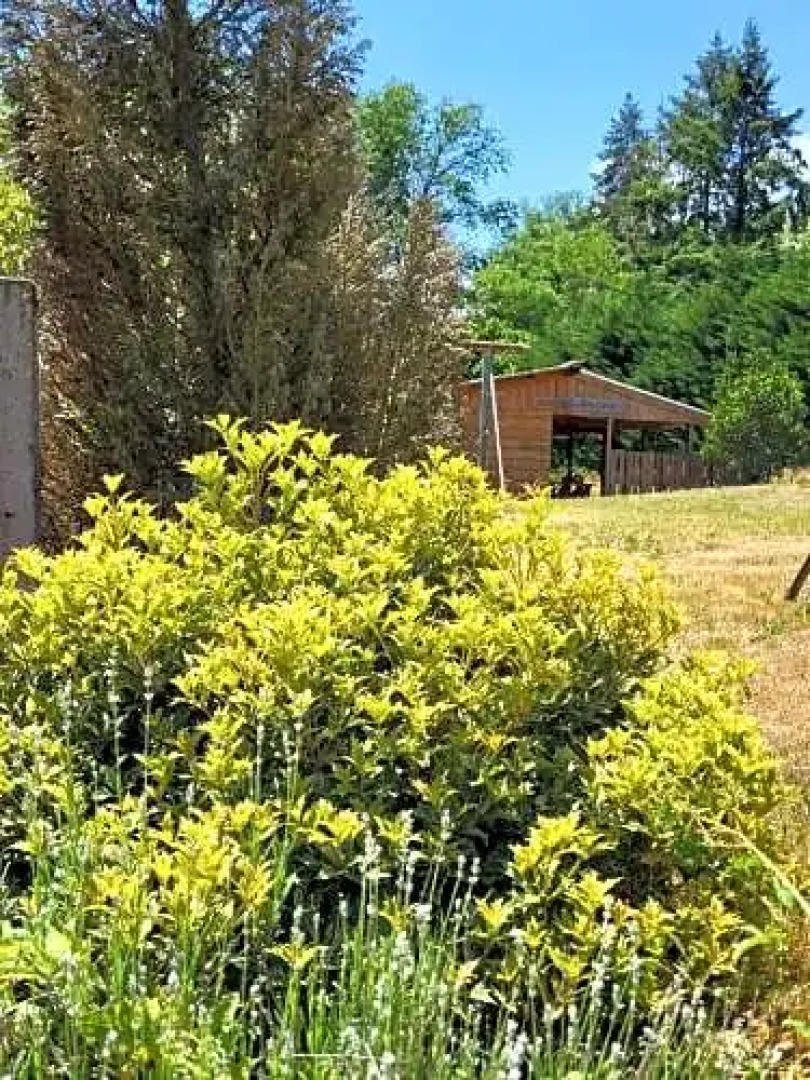 Chambres d'hôtes L'art de vivre..