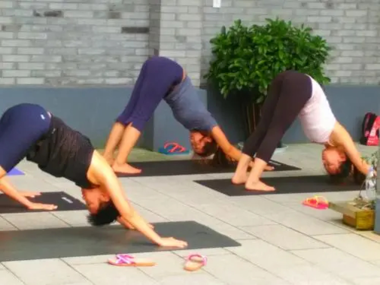 Moganshan Qingyanju Inn