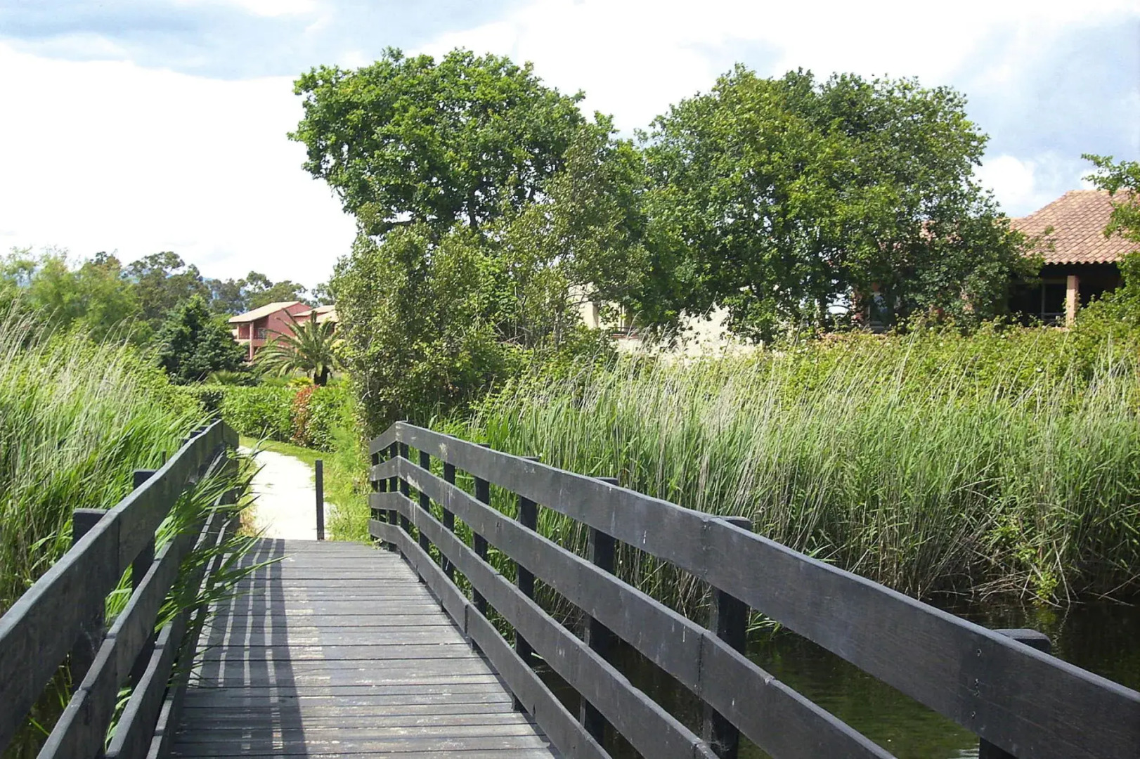 Apartment in Ghisonaccia Near Sandy Beach