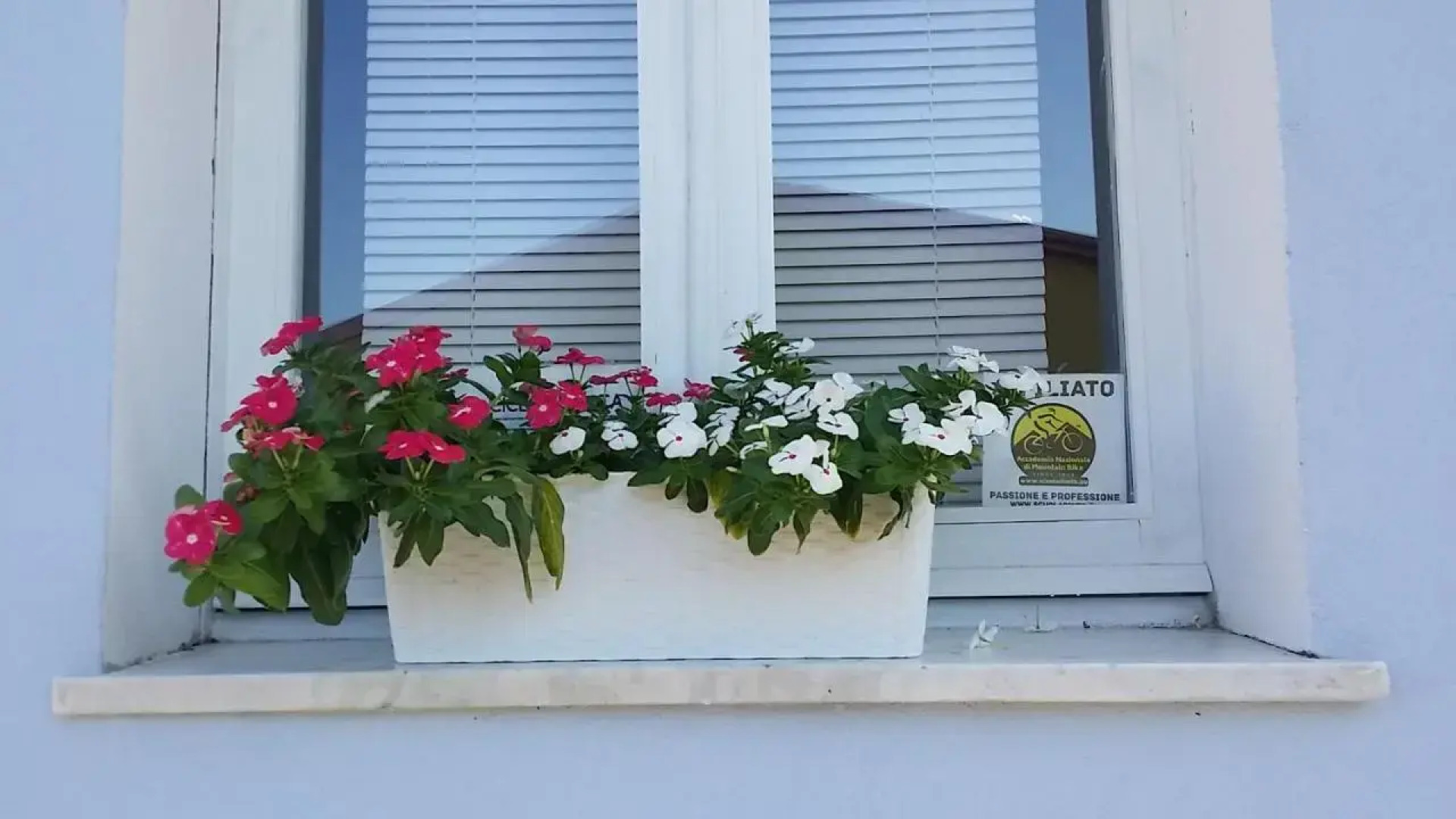 Casa Del CicloTurista